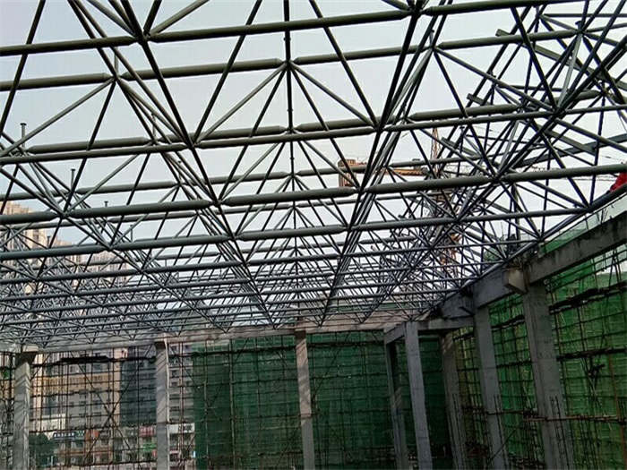 东台光谷第十一小学网架